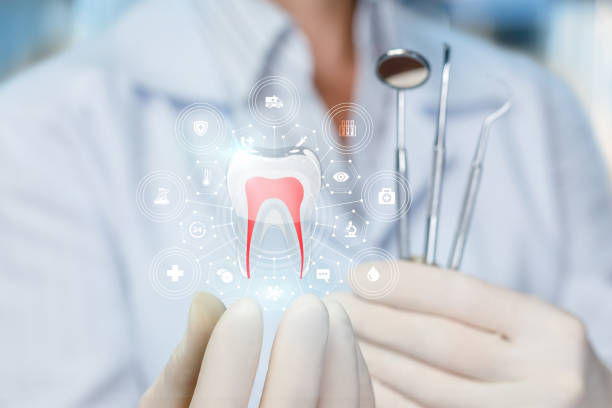 Best Dental Inlays and Onlays  in Havre, MT